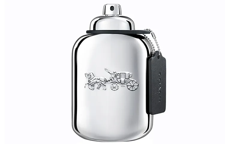 COACH New York Platinum Men's