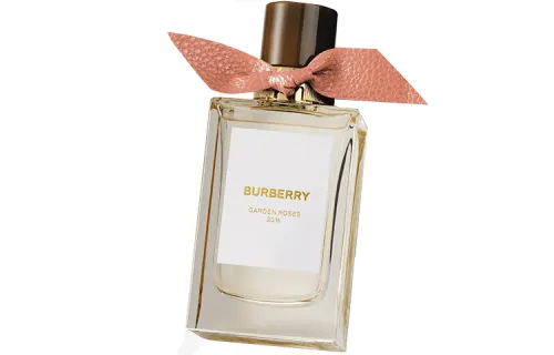 Burberry Premium