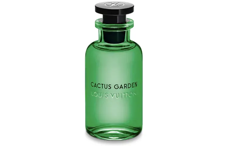 LOUIS VUITTON Cactus Garden