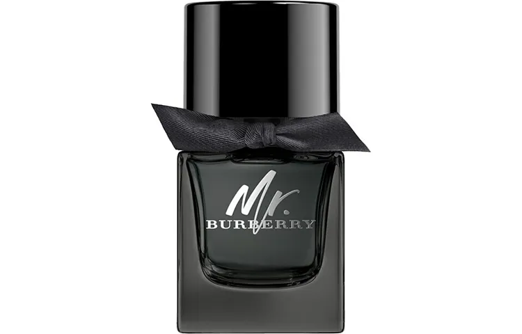 Burberry Mr