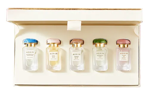 AERIN Mini Q