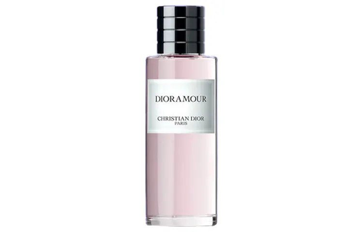 DIOR Collectible Admiration