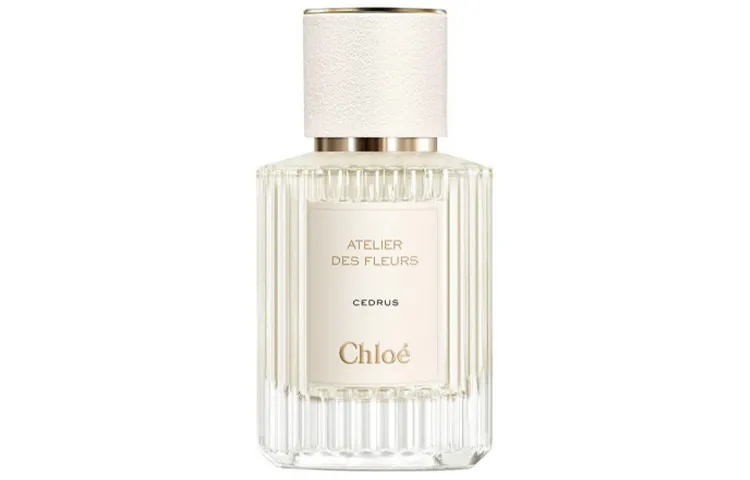 Chloé Chloe Northern Cedar Women's