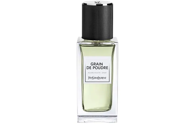 SAINT LAURENT Premium Wardrobe Grain