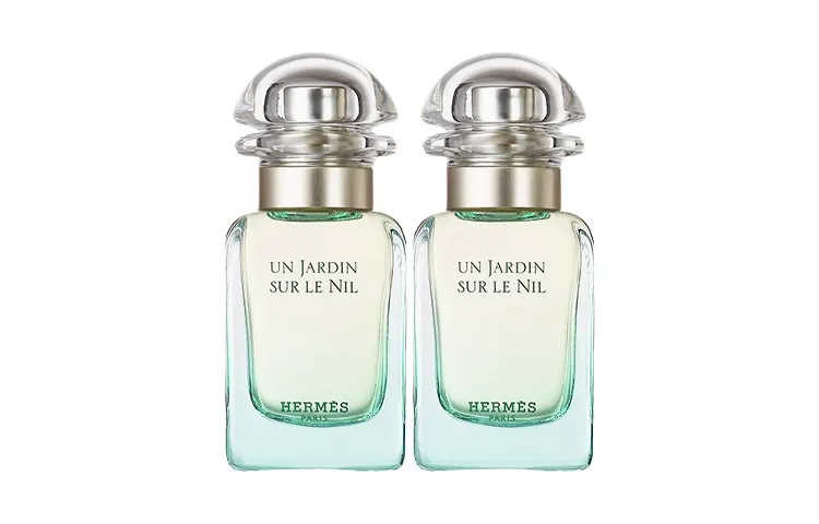 HERMES Nile Garden