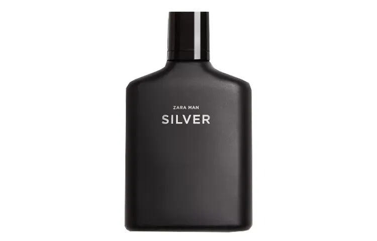ZARA Man Silver Men's