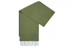 LOEWE Knit Scarves Women's Green/Blue