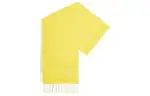 LOEWE Pre Owned 2010s Logo embroidered Cashmere Scarf