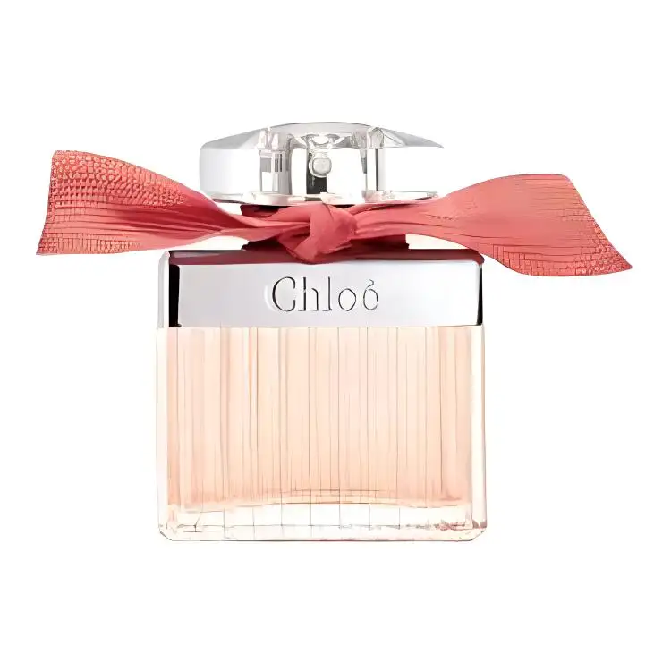 Chloé Chloe Fan Belt Crimson Whisper