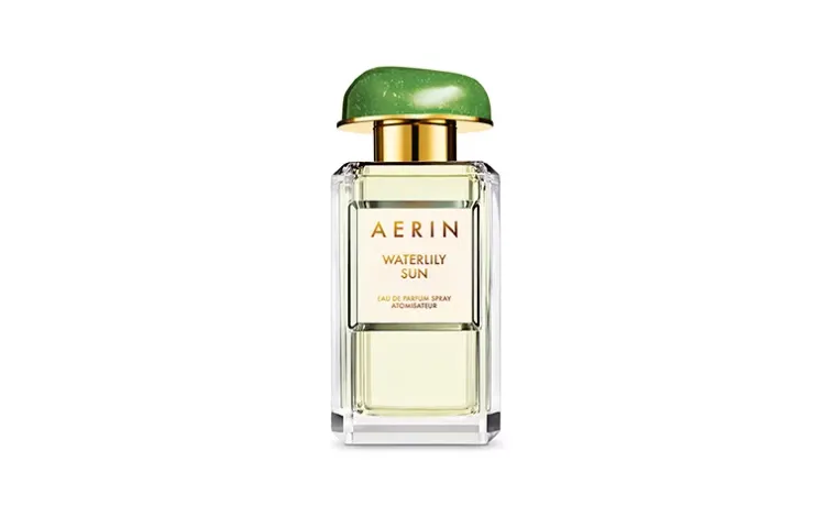 AERIN Celebrity Niche
