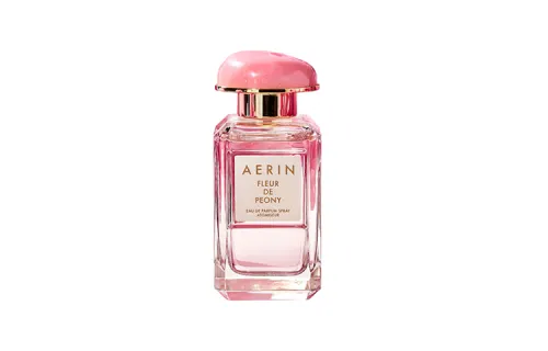 AERIN Celebrity Niche