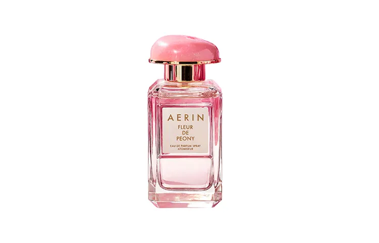 AERIN Celebrity Niche