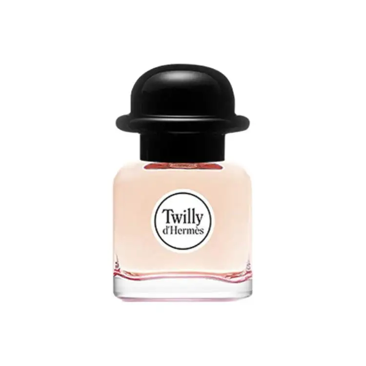 HERMES Silk Style Twilly Women's