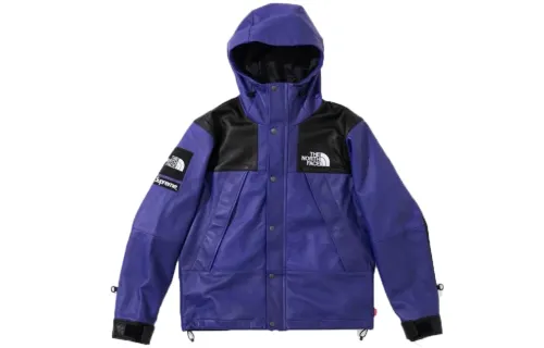 Supreme The North Face Leather Mountain Parka