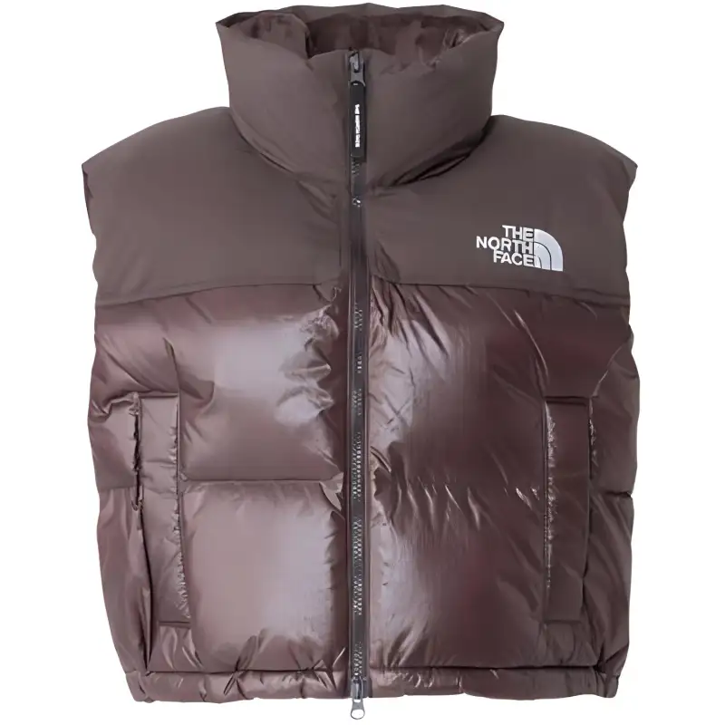THE NORTH FACE Nupsi FW24 Vest Women's Brown