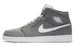 Jordan 1 Retro Mid Cool Grey