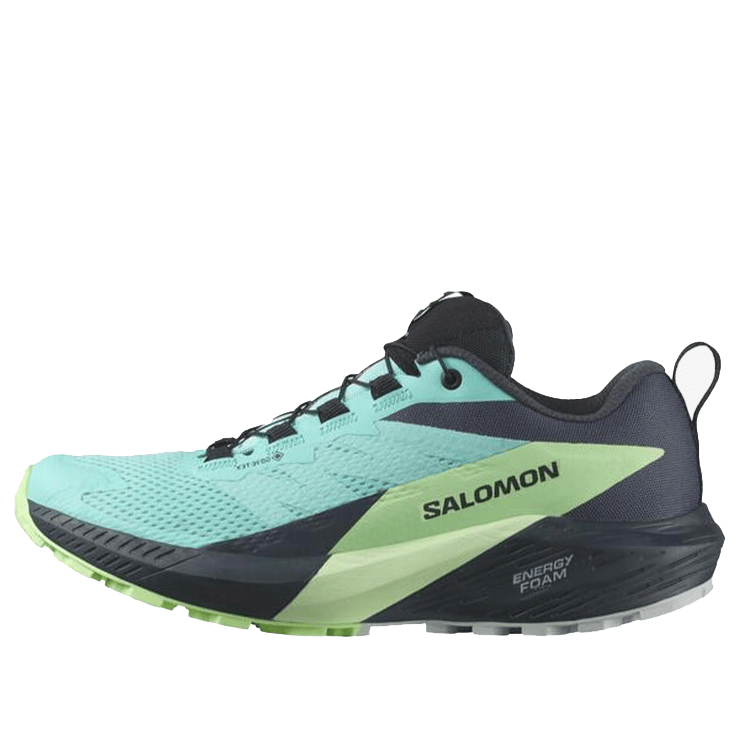 (WMNS)SALOMON Sense Ride 5 GTX 'Blue Radiance' 472160 / L47216000